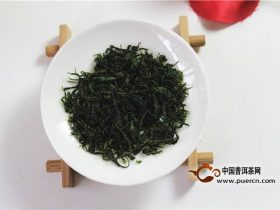 小叶苦丁茶